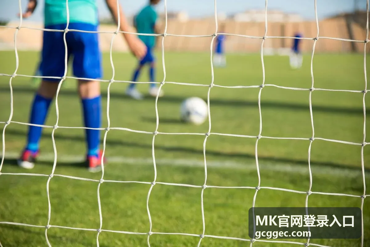 MK入口科技企业部署